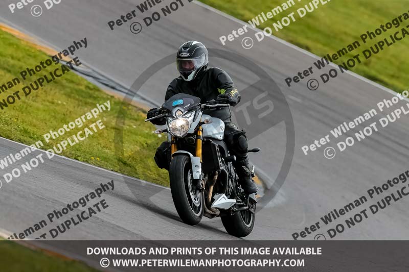 PJ Motorsport 2019;anglesey no limits trackday;anglesey photographs;anglesey trackday photographs;enduro digital images;event digital images;eventdigitalimages;no limits trackdays;peter wileman photography;racing digital images;trac mon;trackday digital images;trackday photos;ty croes